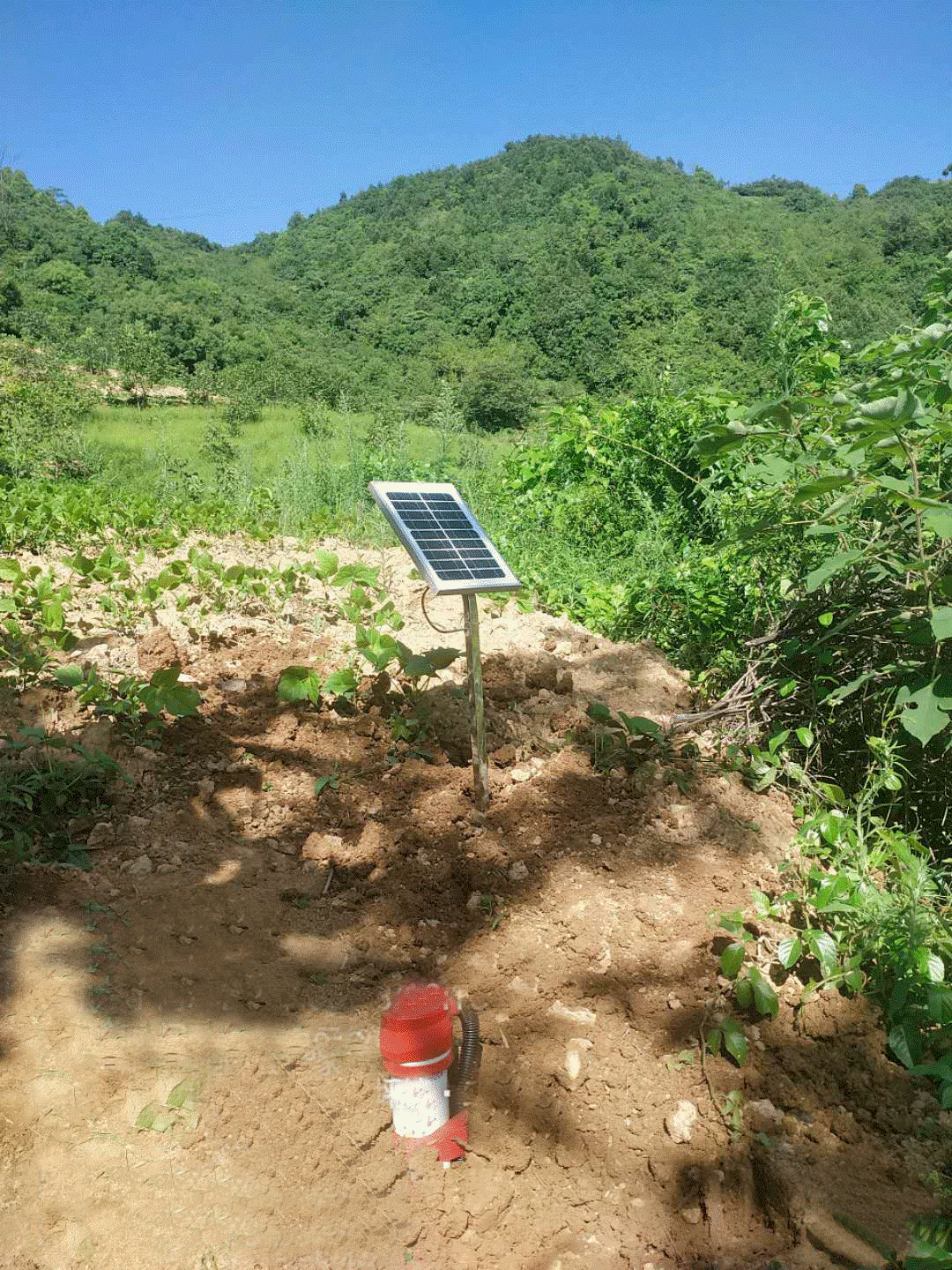 恭賀我院地災監(jiān)測監(jiān)理項目中標