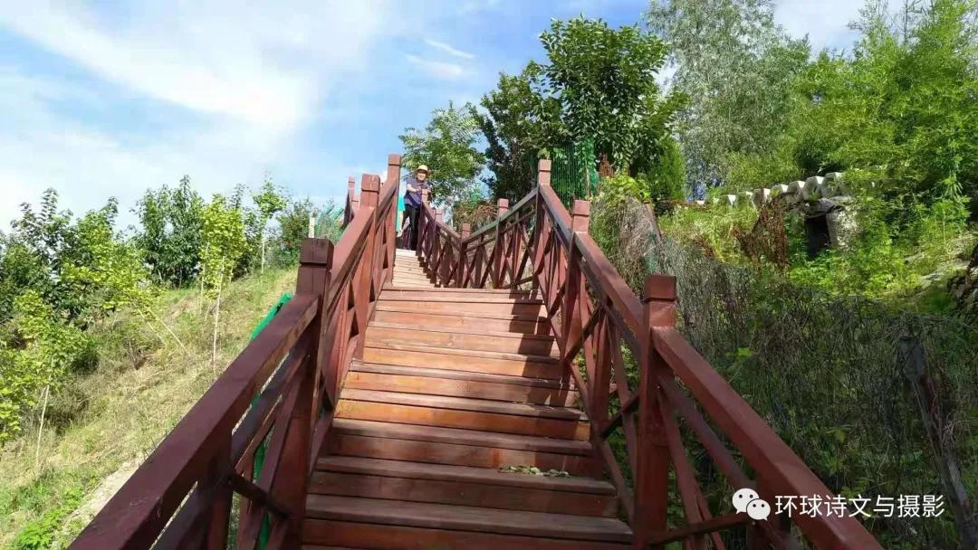 1614238000148981.jpg 圖片23.jpg