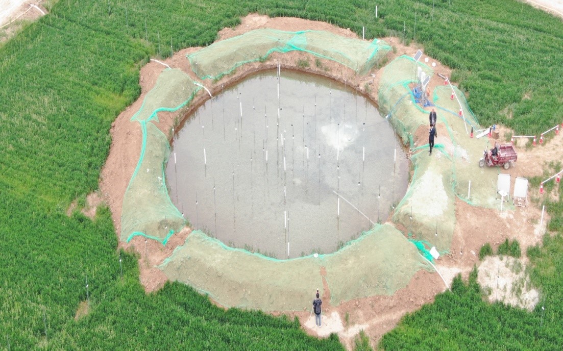 1630654486143805.jpg 99999.jpg