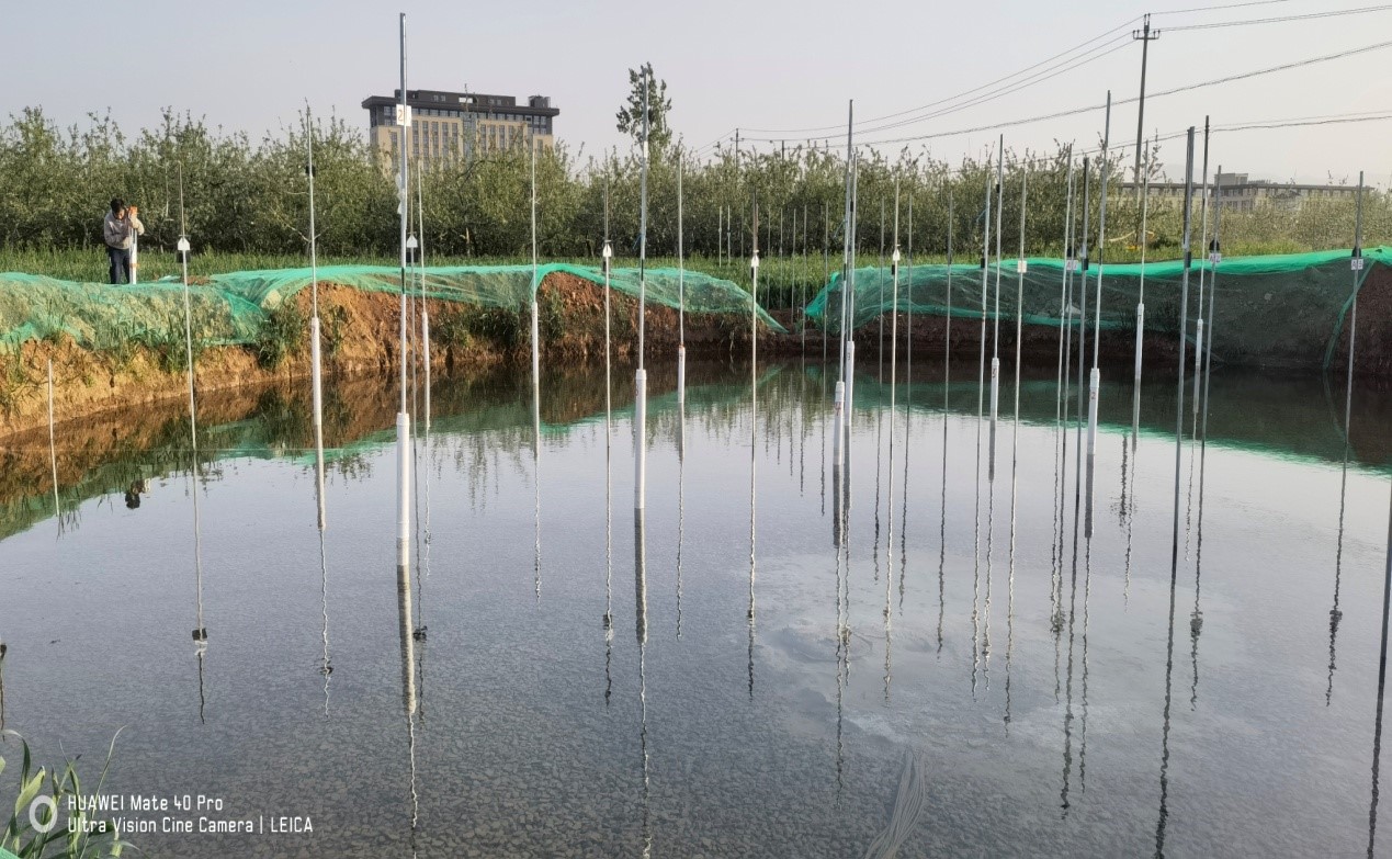 1630654499924300.jpg 51515.jpg