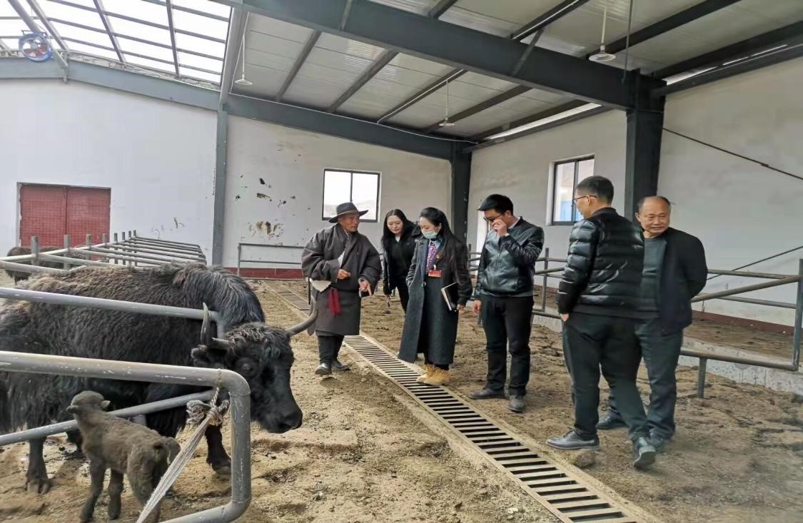 1647336472150866.jpg 22.jpg