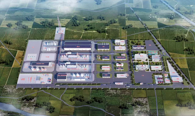 1737619900118926.jpg 張妮子1.jpg